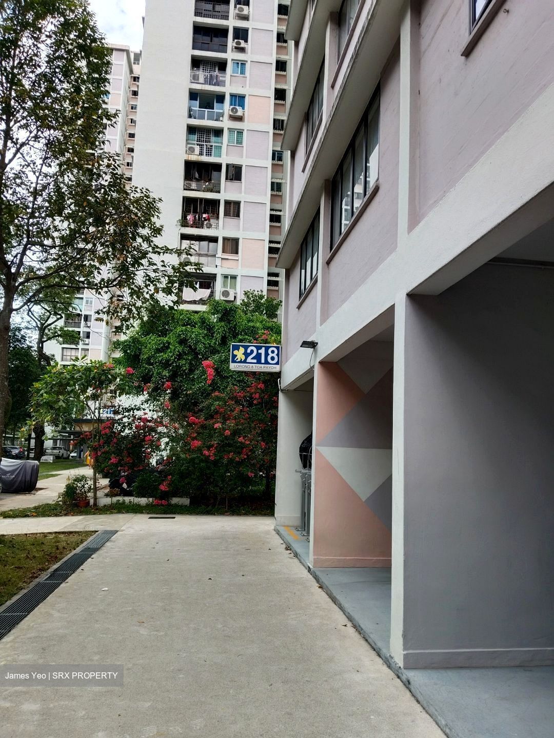 Blk 218 Lorong 8 Toa Payoh (Toa Payoh), HDB 5 Rooms #588612041
